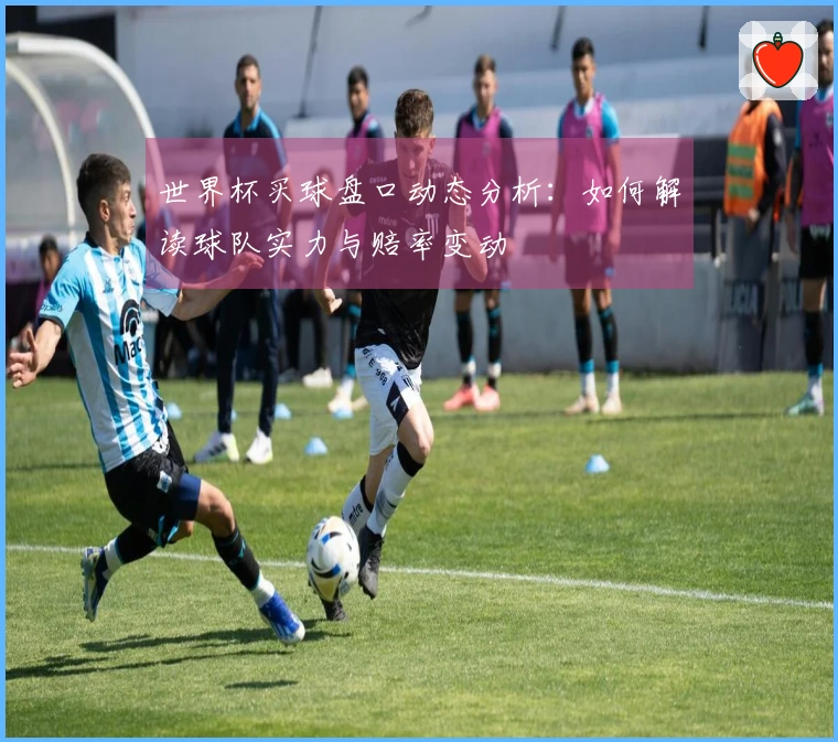 世界杯买球盘口动态分析：如何解读球队实力与赔率变动