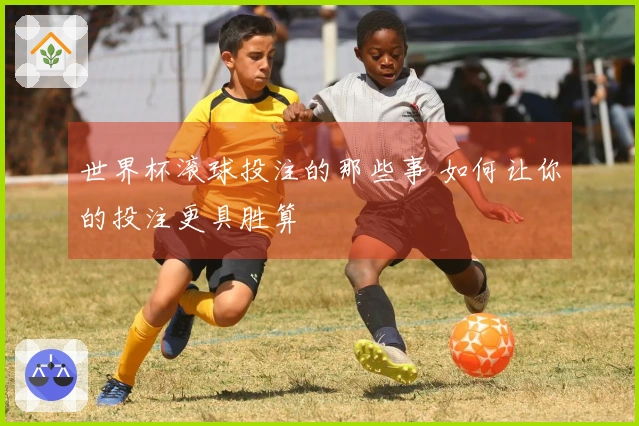 世界杯滚球投注的那些事 如何让你的投注更具胜算