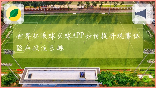 世界杯滚球买球APP如何提升观赛体验和投注乐趣