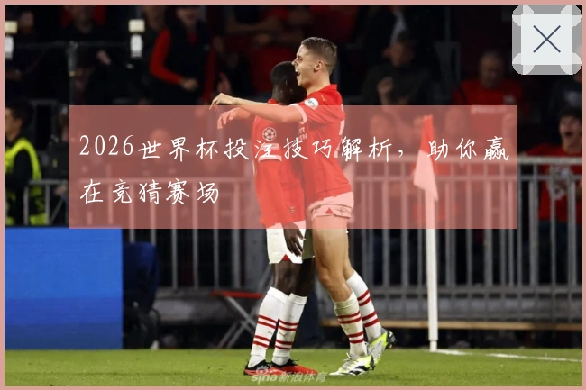2026世界杯投注技巧解析，助你赢在竞猜赛场