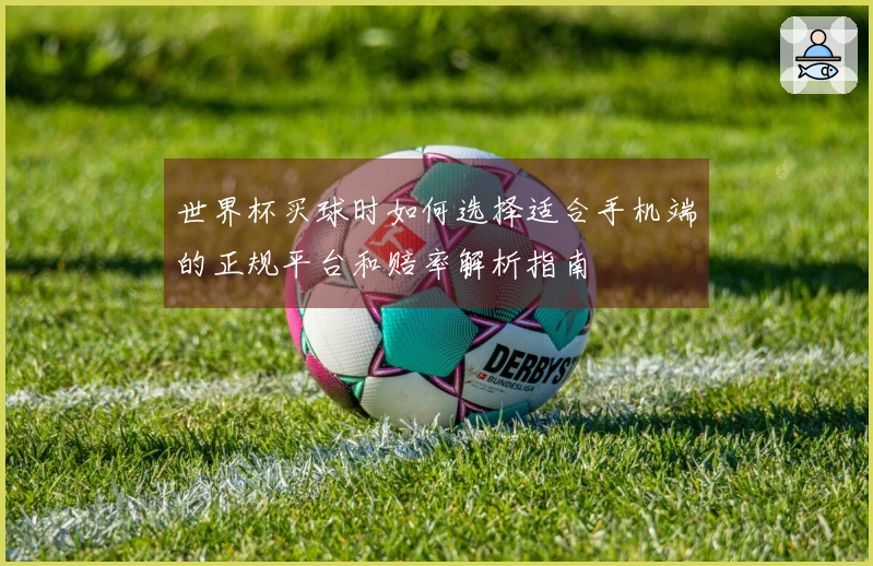 世界杯买球时如何选择适合手机端的正规平台和赔率解析指南