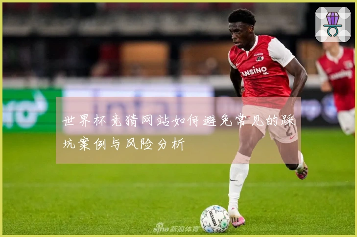 世界杯竞猜网站如何避免常见的踩坑案例与风险分析