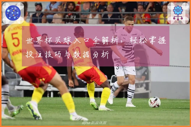 世界杯买球入口全解析，轻松掌握投注技巧与数据分析