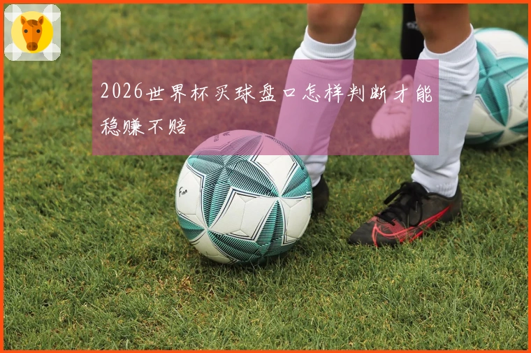 2026世界杯买球盘口怎样判断才能稳赚不赔