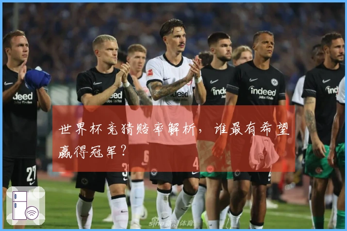世界杯竞猜赔率解析，谁最有希望赢得冠军？