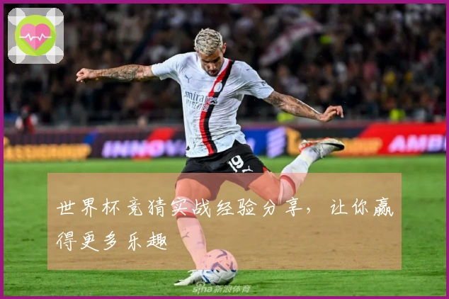 世界杯竞猜实战经验分享，让你赢得更多乐趣