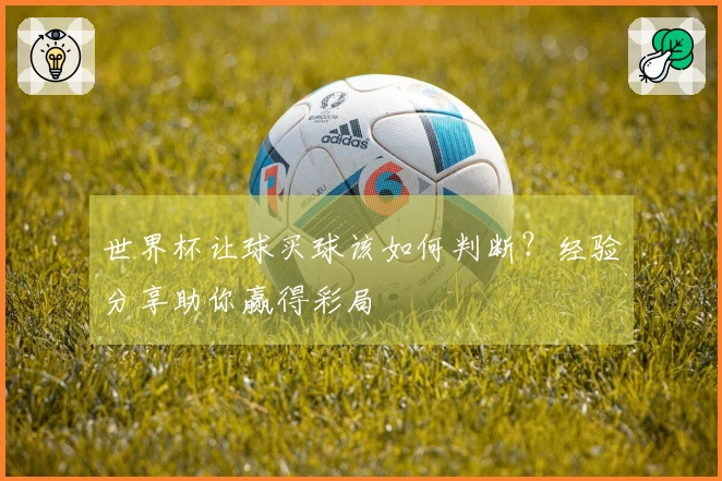 世界杯让球买球该如何判断？经验分享助你赢得彩局