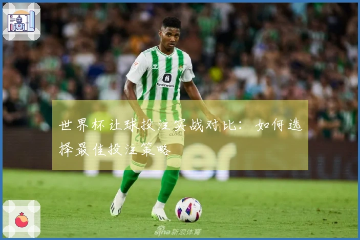世界杯让球投注实战对比：如何选择最佳投注策略