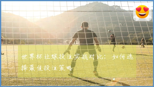 世界杯让球投注实战对比：如何选择最佳投注策略