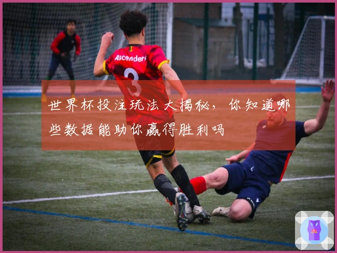 世界杯投注玩法大揭秘，你知道哪些数据能助你赢得胜利吗