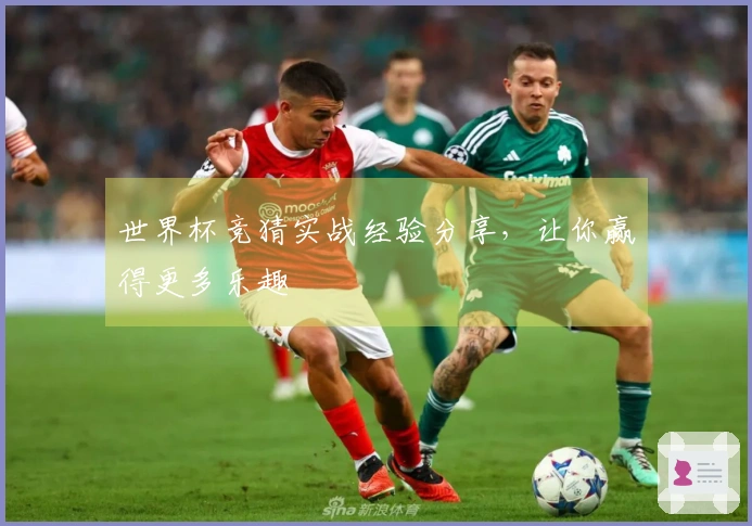 世界杯竞猜实战经验分享，让你赢得更多乐趣