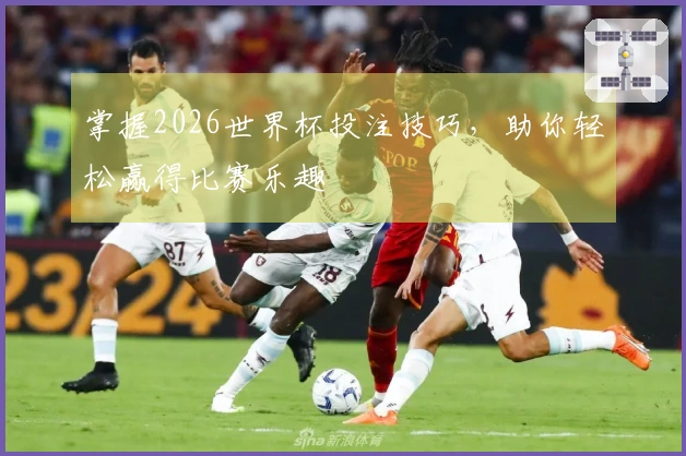 掌握2026世界杯投注技巧，助你轻松赢得比赛乐趣