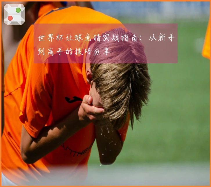 世界杯让球竞猜实战指南：从新手到高手的技巧分享