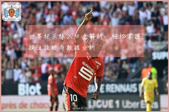 世界杯买球入口全解析，轻松掌握投注技巧与数据分析