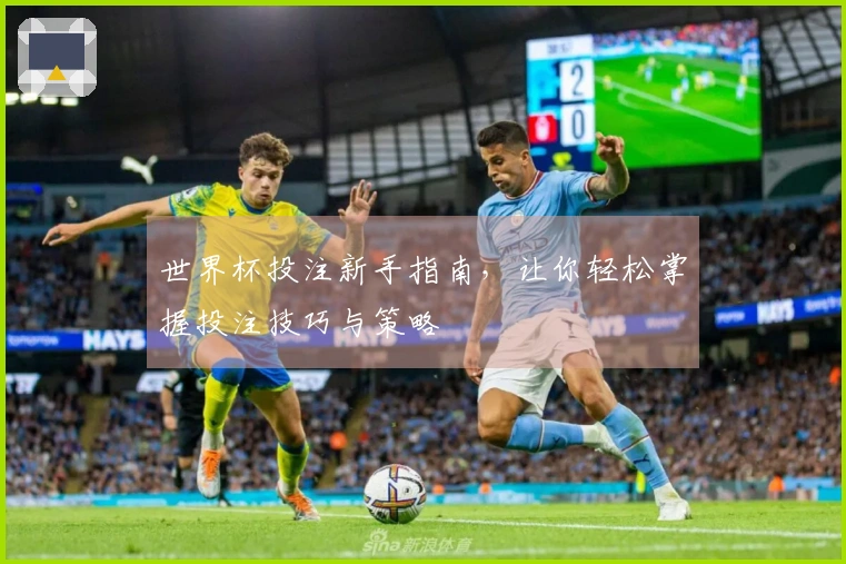 世界杯投注新手指南，让你轻松掌握投注技巧与策略