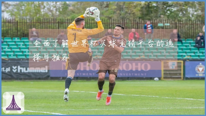 全面了解世界杯买球竞猜平台的选择与推荐