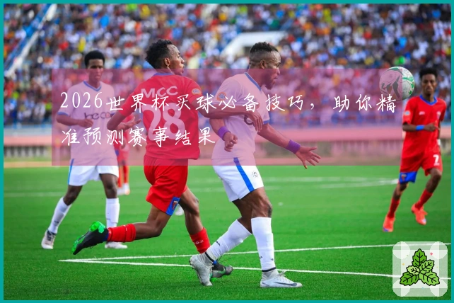 2026世界杯买球必备技巧，助你精准预测赛事结果