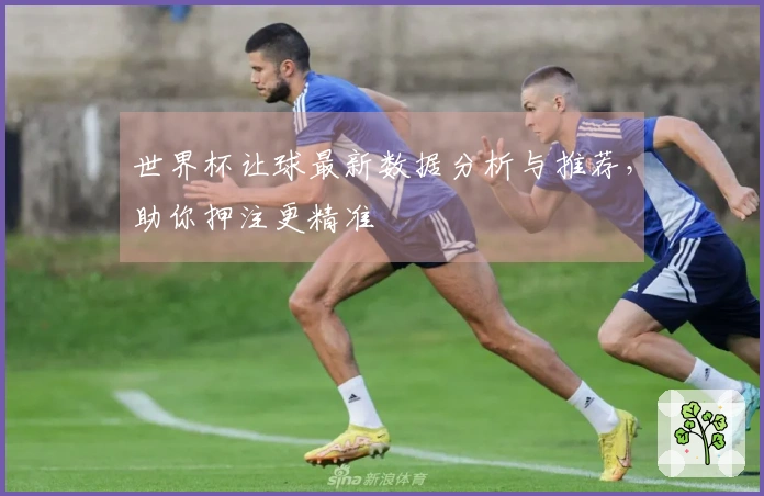 世界杯让球最新数据分析与推荐，助你押注更精准